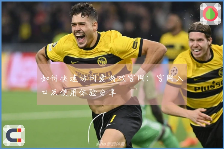 如何快速访问爱游戏官网：官网入口及使用体验分享